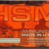 .22-250 Remington Ammunition (HSM Ammunition) 55 grain 20 Rounds