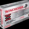 .22-250 Remington Ammunition (Winchester) 55 grain 20 Rounds