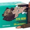 .223 Remington Ammunition (Brown Bear) 62 grain 20 Rounds