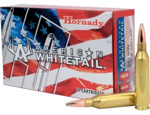 .243 Winchester Ammunition (Hornady) 100 grain 20 Rounds