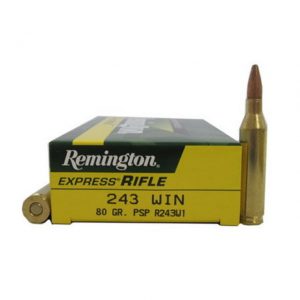 .243 Winchester Ammunition (Remington) 80 grain 20 Rounds