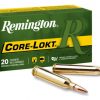 .30-06 Springfield Ammunition (Remington) 165 grain 20 Rounds