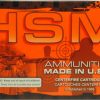 .300 AAC Blackout Ammunition (HSM Ammunition) 110 grain 20 Rounds