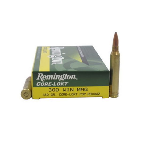 .300 Winchester Magnum Ammunition (Remington) 180 grain 20 Rounds
