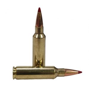 .300 Winchester Short Magnum Ammunition (Hornady) 200 grain 20 Rounds