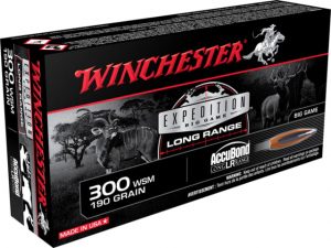 .300 Winchester Short Magnum Ammunition (Winchester) 190 grain 20 Rounds