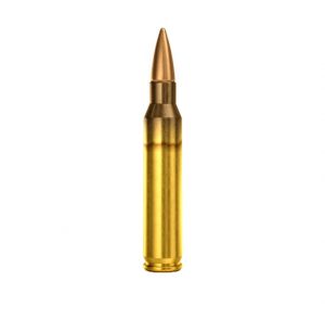 5.56x45mm NATO Ammunition (Magtech) 62 grain 50 Rounds