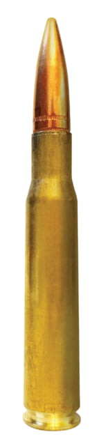 .50 BMG Ammunition (Ammo, Inc.) 640 grain 10 Rounds