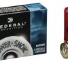 Ammunition (Federal Premium)  5 Rounds