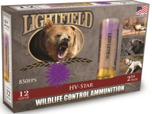 Ammunition (Lightfield Ammunition)  5 Rounds