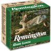 Ammunition (Remington)  20 Rounds