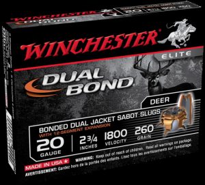 Ammunition (Winchester) 260 grain 5 Rounds